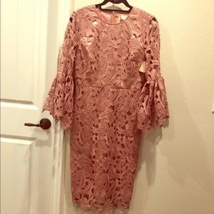 Rachel Parcell Windsor Dress in Mauve Berry